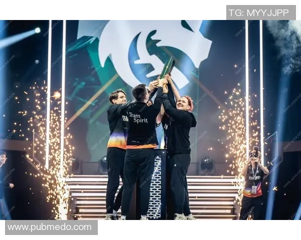 dota第一名奖金最高的比赛-揭秘DOTA最高奖金比赛，谁是绿得富翁！向最优秀的英雄们致以最丰厚的荣耀赠礼。文章揭秘之时以地点为线索，展示强者的荣耀与激情。dota第一名奖金最高的比赛