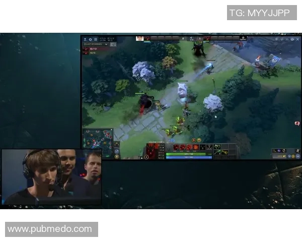 ti7前的比赛-Ti7前的比赛盛宴，一场电竞世界的热烈燃烧之旅-ti7前的比赛